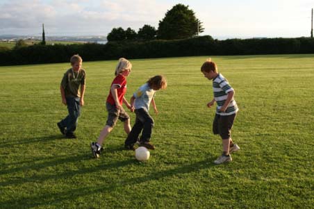 Sports Field